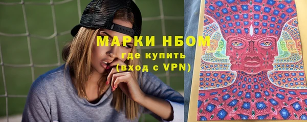 a pvp Алзамай